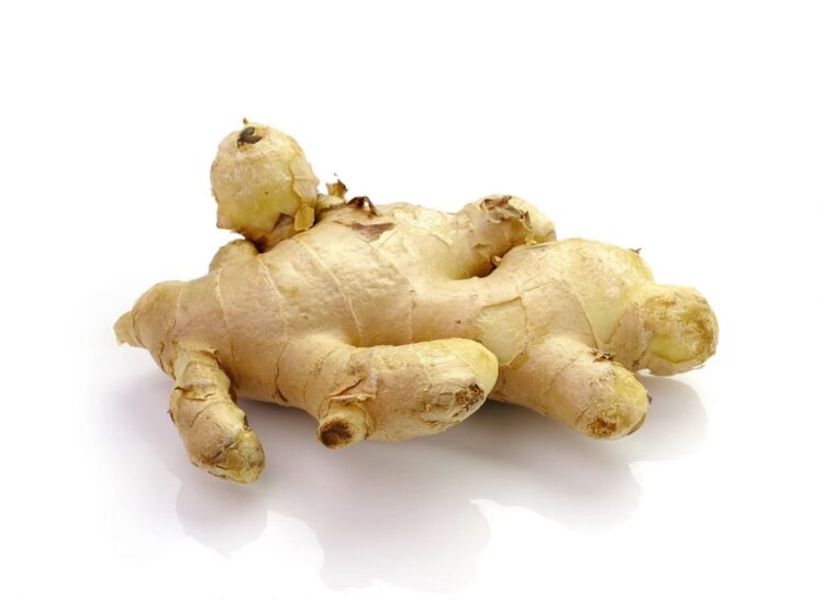 زنجبيل