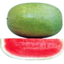 هندوانه