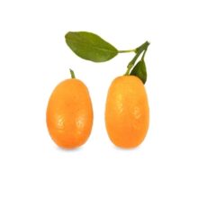 کام کوات