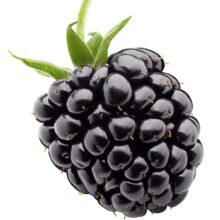 بِلک بری بسته‌ای