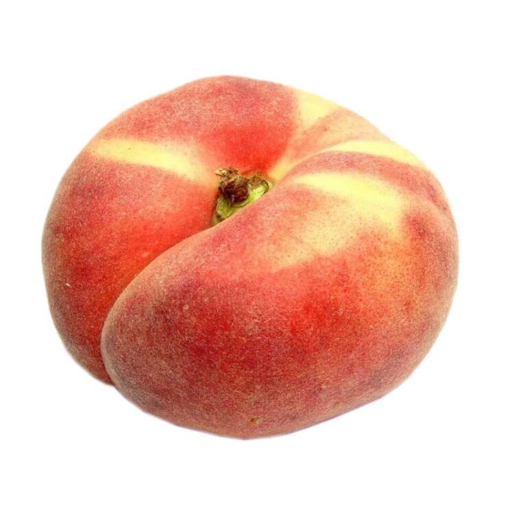 هلو انجیری