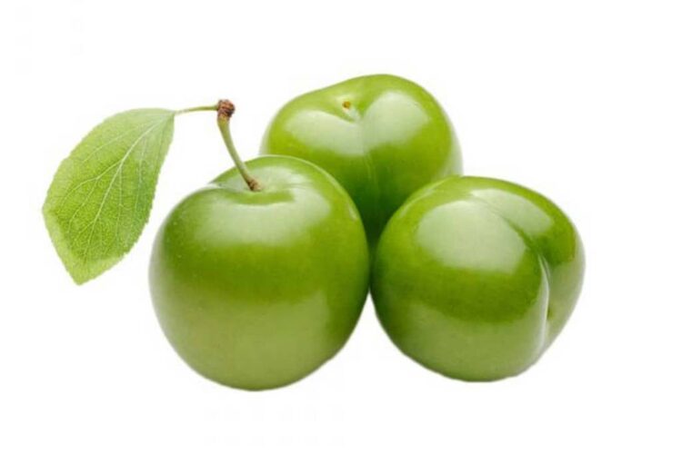 گوجه سبز (آلوچه) شهریار