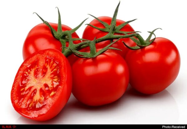 گوجه فرنگی