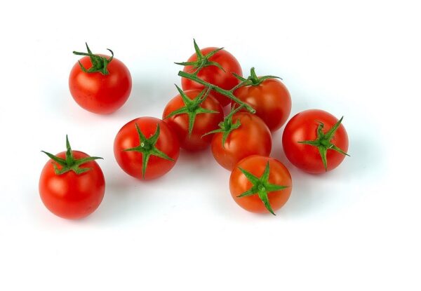 گوجه گیلاسی