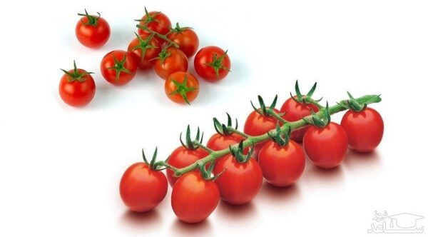 گوجه گیلاسی
