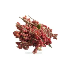 انگور ژاپنی