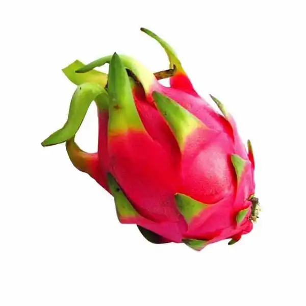 بی بی دراگون