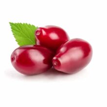 زغال اخته