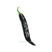 فلفل شمشیری سیاه