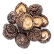 قارچ شیتاکه