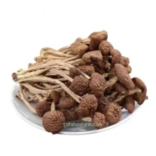 قارچ شیتاکه دمدار