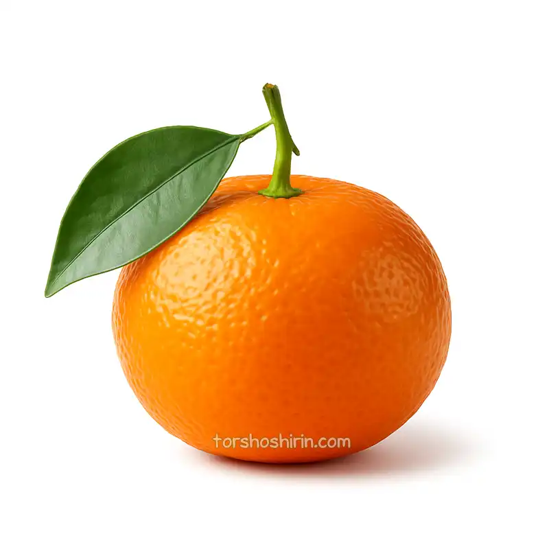 نارنگی کلمانتین ژروس