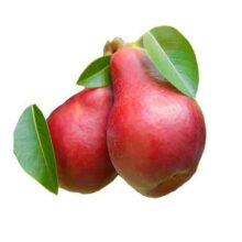 گلابی قرمز